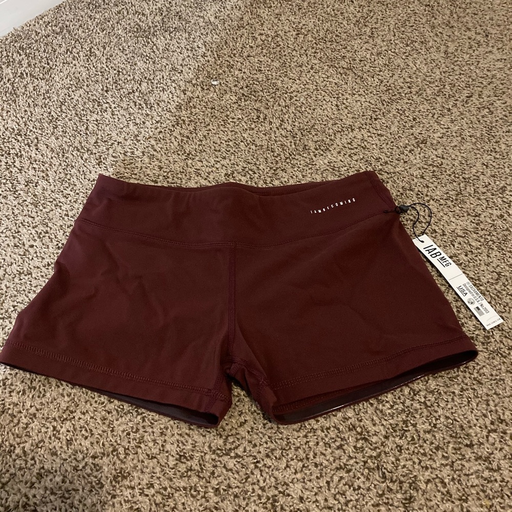 NEW W TAGS: IAB 3 in No-Ride shorts